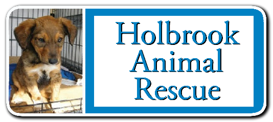 Holbrook animal rescue